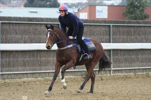 Purr-fect start for Purrealist progeny